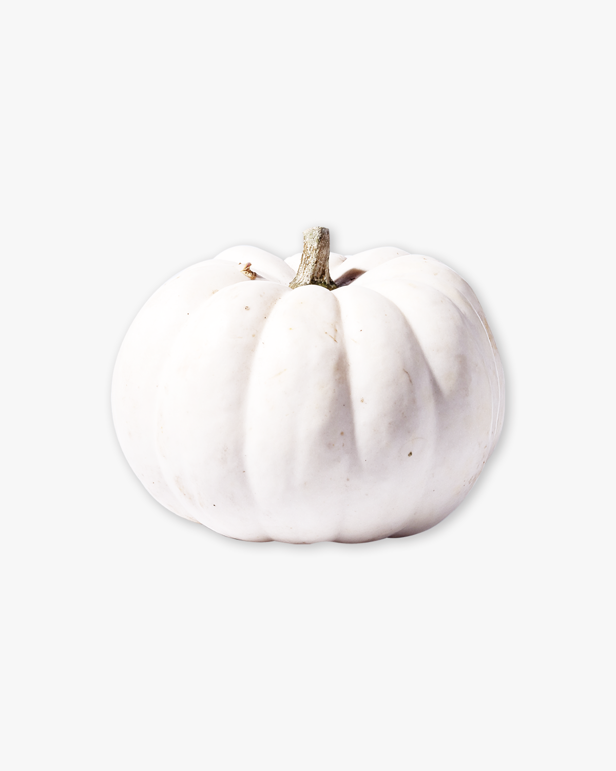 pumpkin Smarttok